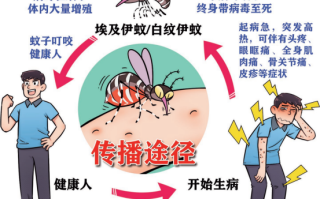 家里如何防蚊子，室內防蚊子的最好辦法，3大維度教你科學滅蚊！