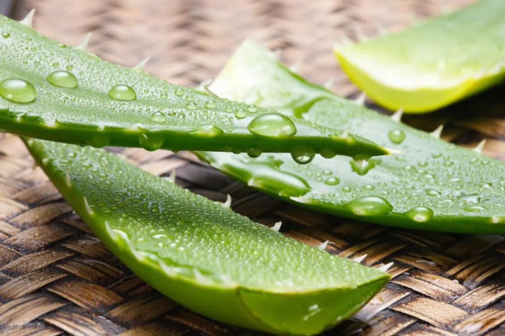 夏季防曬技巧、防曬產(chǎn)品怎么選、曬后修復(fù)方法-第4張圖片-文巢好物