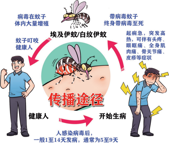 家里如何防蚊子，室內(nèi)防蚊子的最好辦法，3大維度教你科學(xué)滅蚊！-第3張圖片-文巢好物