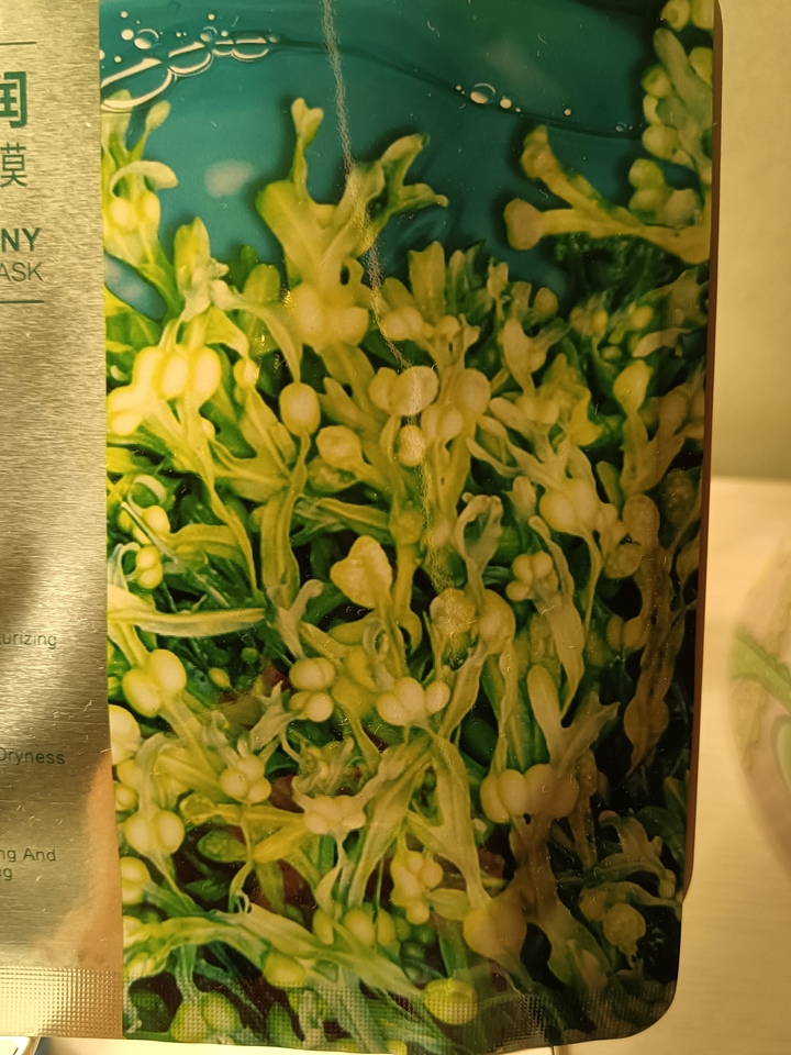 珀萊雅小球藻面膜怎么樣（使用評價）成分表明細-第3張圖片-文巢好物